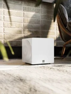 SVS 3000 - Subwoofer micro