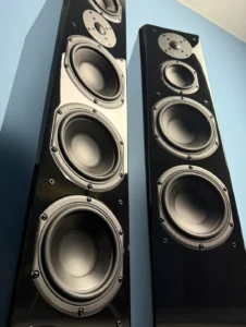 SVS Prime Pinnacle - Altavoz de Torre