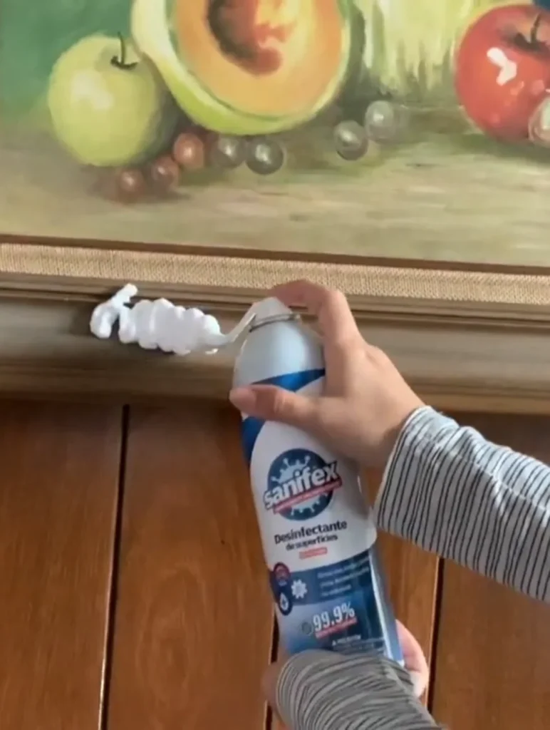 Limpieza de Superficies